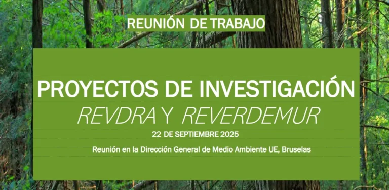 Participación en iniciativas europeas sobre medio ambiente urbano